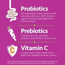 up4-kids-probiotic-gummies-digestive-and-3.jpg