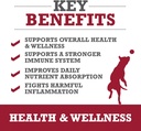winpro-pet-health-wellness-chews-for-sma-2.jpg