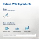 north-american-herb-spice-inflam-eez-90--3.jpg