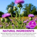 milk-thistle-silymarin-marianum-liquid-d-4.jpg