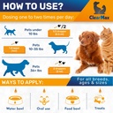 milk-thistle-for-dogs-liver-kidney-suppo-3.jpg