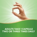 nature-s-way-super-milk-thistle-promotes-4.jpg