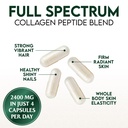 multi-collagen-pills-hydrolyzed-collagen-5.jpg