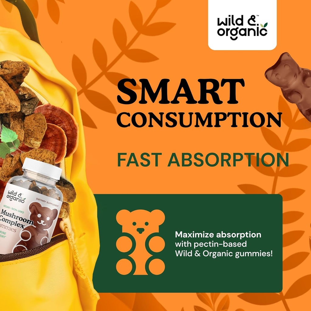 wild-organic-mushroom-gummies---lions-ma-4.jpg