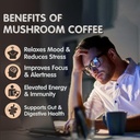 mushroom-coffee-6-adaptogenic-mushrooms--3.jpg
