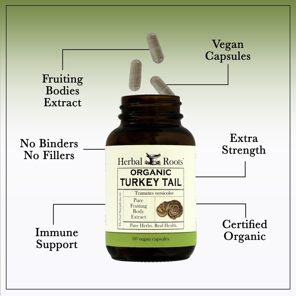 herbal-roots-organic-turkey-tail-mushroo-4.jpg