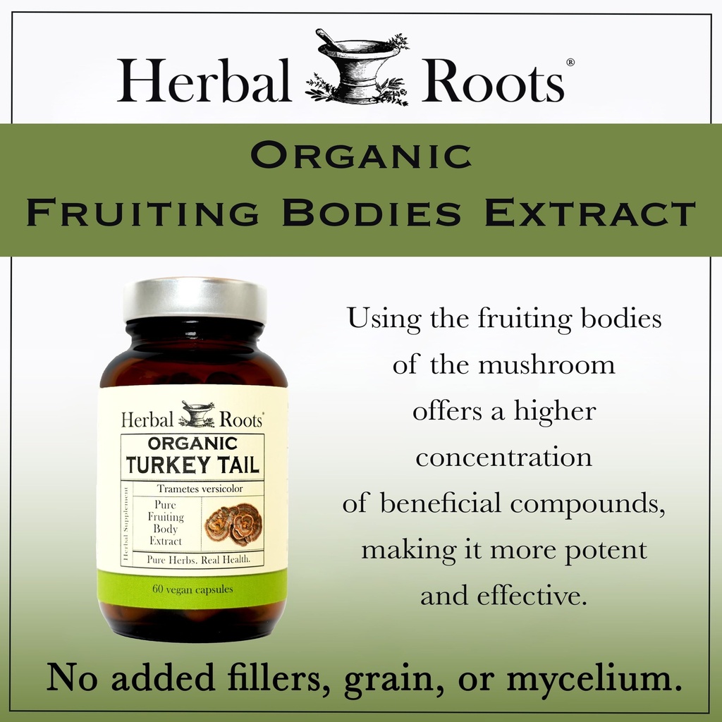 herbal-roots-organic-turkey-tail-mushroo-5.jpg