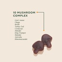 om-mushroom-superfood-master-blend-mushr-3.jpg