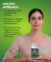 mushroom-gummies-10-mushroom-complex-wit-4.jpg