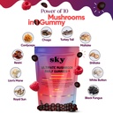 mushroom-gummies-for-adults-10-in-1-powe-4.jpg