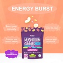 organic-functional-mushroom-gummies-supp-4.jpg