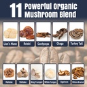 mushroom-coffee-11-superfood-mushrooms-i-5.jpg