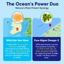 sea-moss-gummies-algae-omega-3-for-men-w-3.jpg