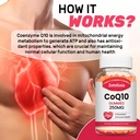 2-pack-coq10-gummies-5x-better-absorptio-4.jpg