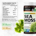 bio-krauter-3-in-1-sea-moss-for-thyroid--3.jpg