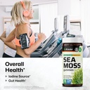 bio-krauter-3-in-1-sea-moss-for-thyroid--2.jpg