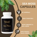 black-girl-vitamins-organic-sea-moss-cap-5.jpg