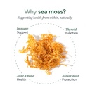 root-labs-sea-moss-gummies-i-92-minerals-3.jpg
