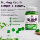 2-pack-sea-moss-gummies-irish-sea-moss-g-6.jpg