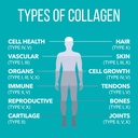 naturesplus-collagen-peptides-berry-lemo-4.jpg