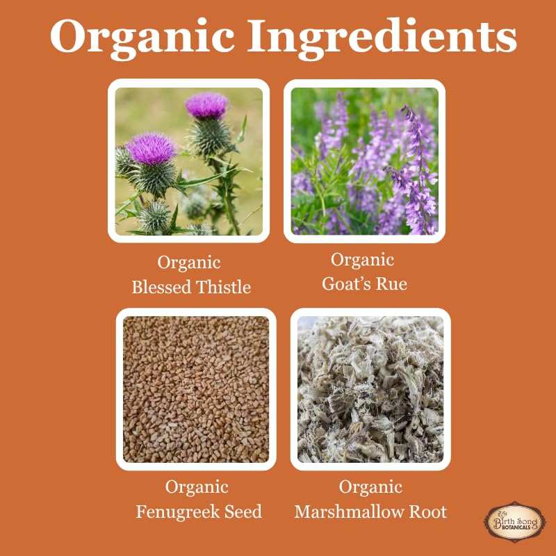 birth-song-botanicals-let-there-be-milk--6.jpg