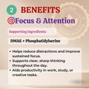 sun-vitals-core-mind-nootropic-brain-sup-3.jpg