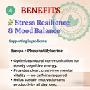 sun-vitals-core-mind-nootropic-brain-sup-6.jpg