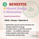 sun-vitals-core-mind-nootropic-brain-sup-5.jpg
