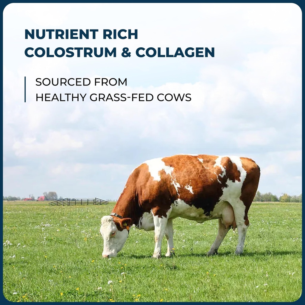 sandhu-s-bovine-colostrum-with-collagen--2.jpg