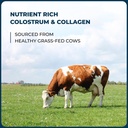 sandhu-s-bovine-colostrum-with-collagen--2.jpg