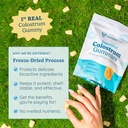 wondercow-colostrum-gummies-for-gut-heal-3.jpg