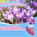 saffron-supplement-gummies-for-kids-mood-4.jpg