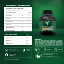 bolt-biozyme-plant-protein-vegan-protein-5.jpg