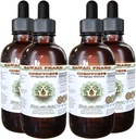 Cordyceps Alcohol-Free Liquid Extract, Cordyceps (Cordyceps Sinensis) Mushroom Glycerite Hawaii Pharm Natural Herbal Supplement 4x4 oz