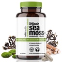 Bio Irish Sea Moss Capsules: Wildcrafted Sea Moss, Burdock Root & Bladderwrack Prébiotique Super Food pour le soutien immunitaire, Thyroïde Support, Énergie naturelle, -120 Caps