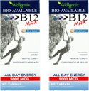 Wellgenix Bio-disponible Sublingual B12 Max - Formulé pour une absorption élevée - Multivitamine nutritionnelle B12, B6, Folate - Dissolve rapide (60 Ct) 2 Pack