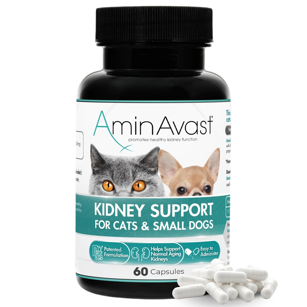 AminAvast Petits chiens et soutien au rein des chats - Promotion d'un soutien au rein sain chez les chats et les petits chiens - 300mg, 60 Capsule