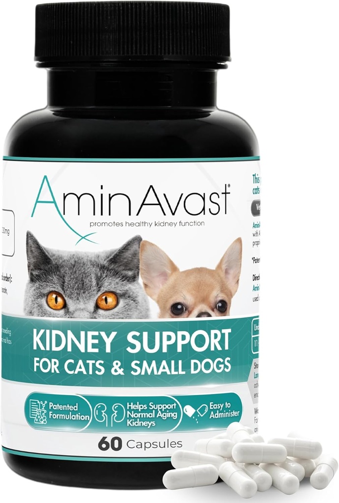 AminAvast Petits chiens et soutien au rein des chats - Promotion d'un soutien au rein sain chez les chats et les petits chiens - 300mg, 60 Capsule
