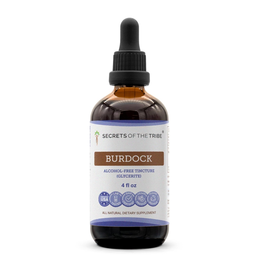 Secrets de la Tribe Burdock Tecture Extrait liquide sans alcool, Burdock (Arctium Lappa) Racine séchée 4 FL OZ