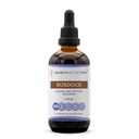 Secrets de la Tribe Burdock Tecture Extrait liquide sans alcool, Burdock (Arctium Lappa) Racine séchée 4 FL OZ