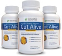 Gut Alive - All Natural Support to Fight IBS, Heartburn, Acid Indigestion, Acid Reflux, Bloating & Gas. Formulation unique (60 Compte (paquet de 3))