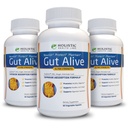 Gut Alive - All Natural Support to Fight IBS, Heartburn, Acid Indigestion, Acid Reflux, Bloating & Gas. Formulation unique (60 Compte (paquet de 3))