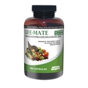 Natural Wonders Life Mate – Multivitamin Supplement – Multivitamines prénatales pour les femmes avec un soutien nutritionnel et immunitaire – Suppléments énergétiques pour les hommes et les femmes (360 capsules)