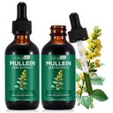 Extrait de feuille de Mullein pour poumons, gouttes de Mullein pour poumons, soutien pulmonaire, fonction respiratoire pour respiration saine, amélioration de la fonction pulmonaire, complément naturel et sûr (2 PC)