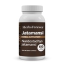 Herbsforever Jatamansi Capsules de Nardostachys Jatamansi.Prime supplément à base de plantes pour la relaxation, le soin des cheveux et le bien-être.