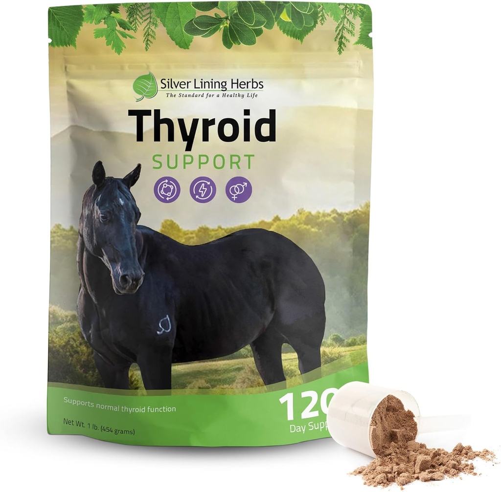Support Thyroïde pour Chevaux – supplément Cheval Herbal pour la fonction normale de thyroïde, équilibre hormonal et métabolisme sain avec la mousse irlandaise, Kelp, persil – 120 jours d'approvisionnement