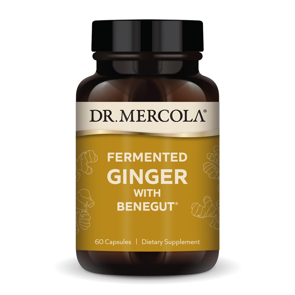 Dr. Mercola Gingembre fermenté avec Benegut - Soutiens Digestion et santé des intestins - Aides occasionnelles Gaz, bloom et désagrément - Non-OGM, sans gluten et sans soja - 60 capsules (60 portions)