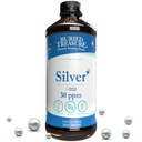 Trésor enseveli liquide d'argent purifié 30 PPM - 16 oz. 96 portions, solution Nano Silver non-accumulative, vaporisateur et supplément immunitaire diététique