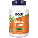 MAINTENANT compléments alimentaires, Ginkgo Biloba 60 mg, 24% extrait normalisé, projet non-OGM vérifié, 240 capsules de légumes