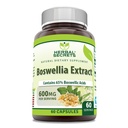 Secrets à base de plantes Boswellia Serrat Extract Supplement: 65% Acides boswelliques: 600 Mg par service: 60 capsules: 60 capsules: 60 sans OGM: